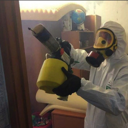 Уничтожение клопов в квартире. Новокузнецкая